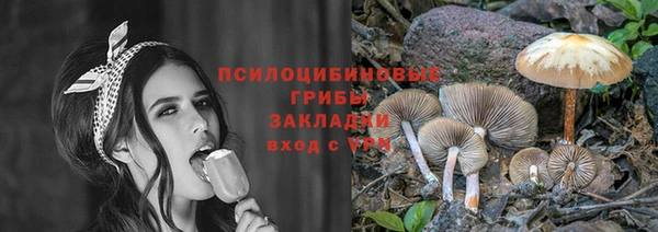 СК Арсеньев