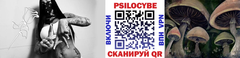 даркнет сайт  Струнино  Галлюциногенные грибы Cubensis 